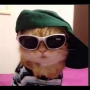 Meet your Posher, Alina